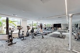 Located at 1005 Spring Garden Rd in Miami, FL, this contemporary fitness center offers a well-appointed workout facility designed with both functionality and aesthetics in mind. The space is housed on a single floor and provides a generous, open layout that comfortably accommodates a wide range of exercise equipment without feeling crowded.

Floor-to-ceiling windows line the perimeter, flooding the space with abundant natural light and offering views of lush tropical palm trees and the surrounding outdoor environment — a distinctly Miami touch. The patterned, textured carpet tile flooring adds a modern visual element underfoot while providing comfort and stability during workouts.

The facility is equipped with a comprehensive selection of cardio machines, including multiple treadmills, upright and recumbent stationary bikes, and a StairMaster. Strength training is well-represented with cable and multi-use resistance machines, a dumbbell rack, and dedicated stretching and mat areas with foam flooring for floor exercises.

Linear LED lighting recessed into the white ceiling creates a clean, energizing ambiance throughout. A large flat-screen display mounted on the wall serves as a focal point for the cardio zone. Full-length mirrors along one wall enhance the sense of depth and space. Decorative artwork near the glass entry doors and built-in shelving add refined design details. The overall atmosphere is sleek, modern, and motivating.