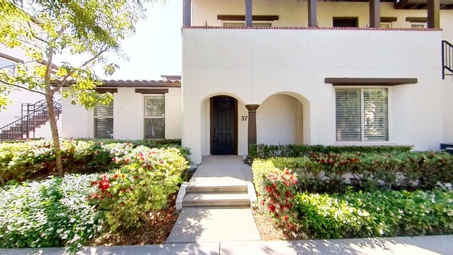 Área frontal - 37 Spanish Lace