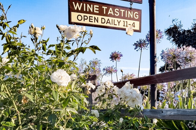 Santa Ynez Valley wineries near Solvang host frequent tastings.