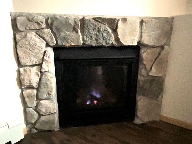 gas fireplace - 956 Boston Way