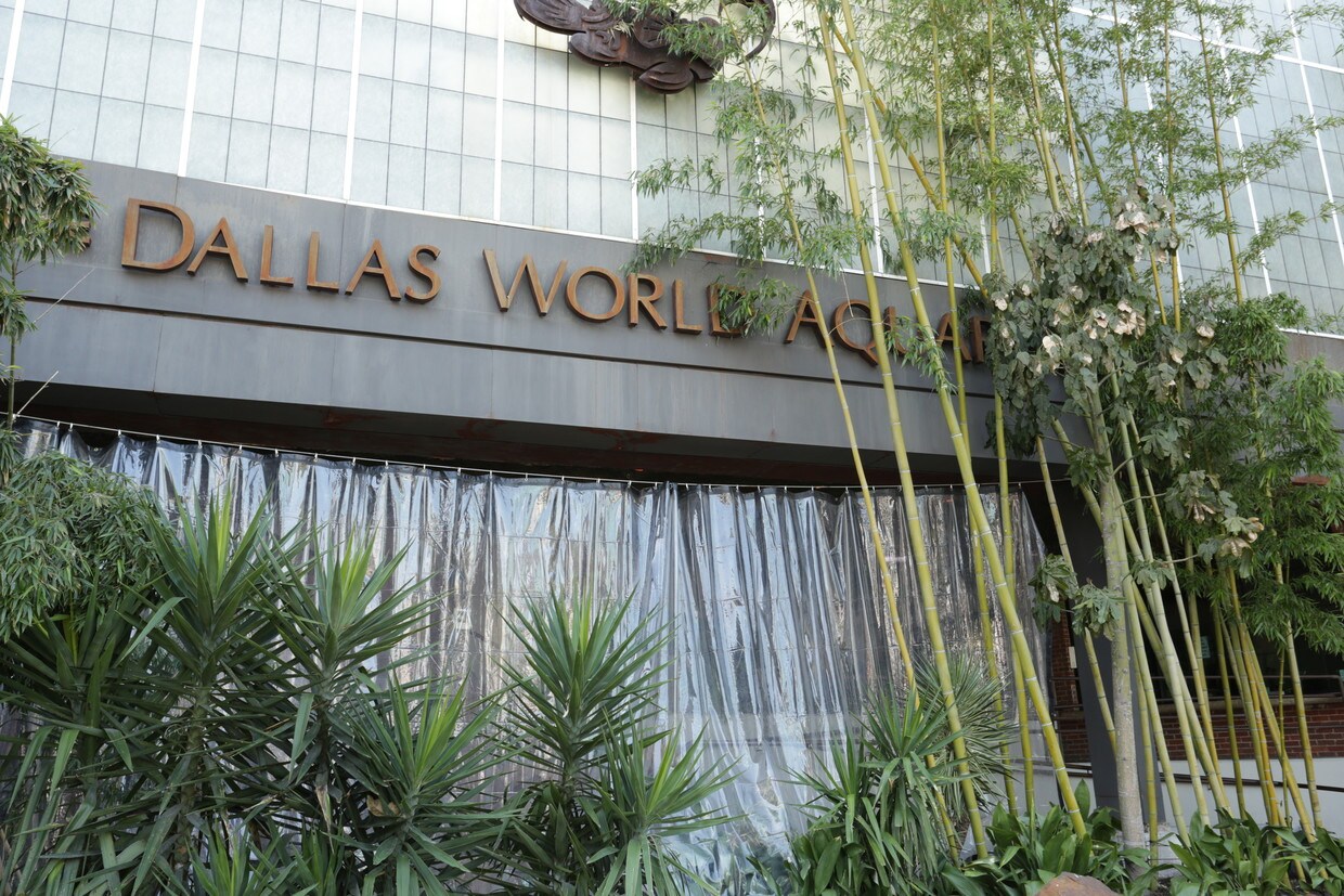 Mill City Frazier Rentals Dallas, TX