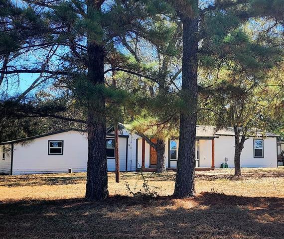 Primary Photo - 3434 FM 17