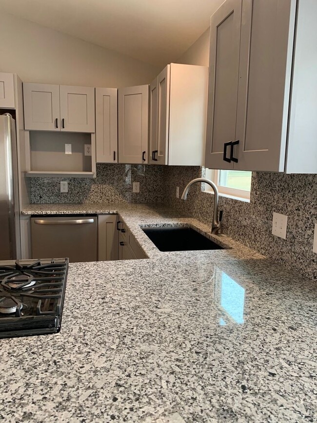 Building Photo - NEW construction, stunning 3 bed/2 bath ra...