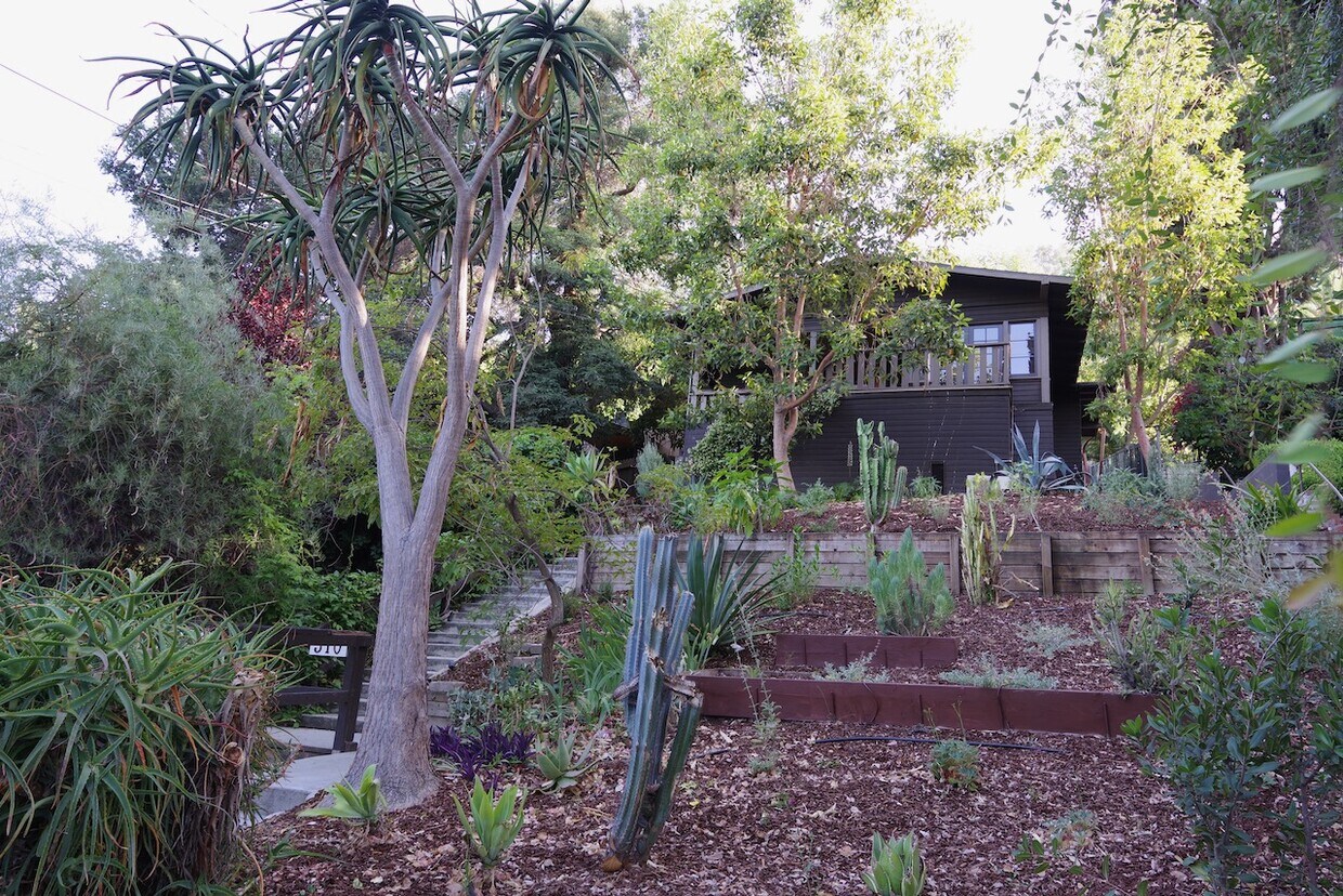 Primary Photo - 310 Mount Washington Dr