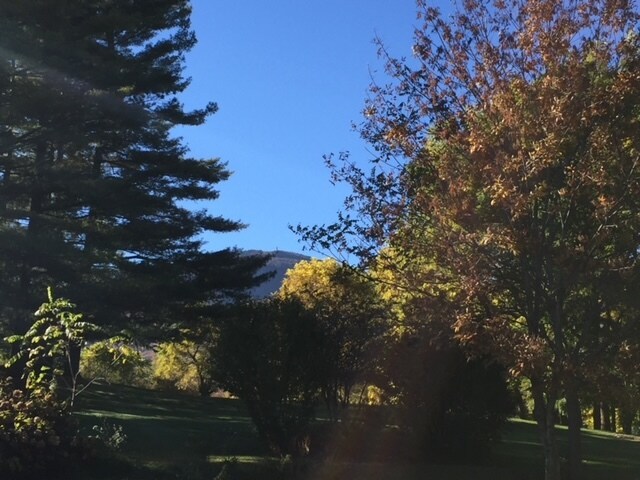 back yard view - 10 Notch Rd