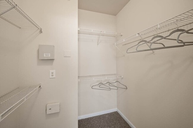 Belterra general photo - Belterra