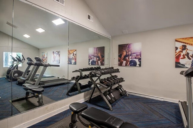 Gimnasia - Monarch Crossing