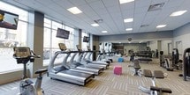Located in the heart of downtown Columbus, Ohio, this modern fitness center offers a clean, well-organized workout environment designed to support a full range of exercise routines. The main workout floor is bright and inviting, benefiting from large floor-to-ceiling windows that flood the space with natural light and provide views of the surrounding urban landscape. The ceiling features a recessed tile grid with integrated panel lighting that ensures consistent, even illumination throughout.

The cardio zone is prominently positioned along the windowed wall and is outfitted with a row of treadmills and stationary bikes, each equipped with personal entertainment screens for an engaging workout experience. A full-length mirror wall on the opposite side visually expands the space and supports form-checking during exercise.

The functional training area features colorful foam cubes and balance tools, along with a dedicated free weight section complete with a rack and bench. The patterned, textured carpeting throughout adds warmth and provides a comfortable surface underfoot. The overall design strikes a balance between a professional gym aesthetic and an approachable, welcoming atmosphere, making it suitable for a broad range of fitness levels and goals.