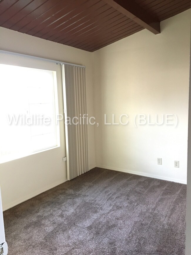 Building Photo - Nice remodeled Duplex near Clairemont Square