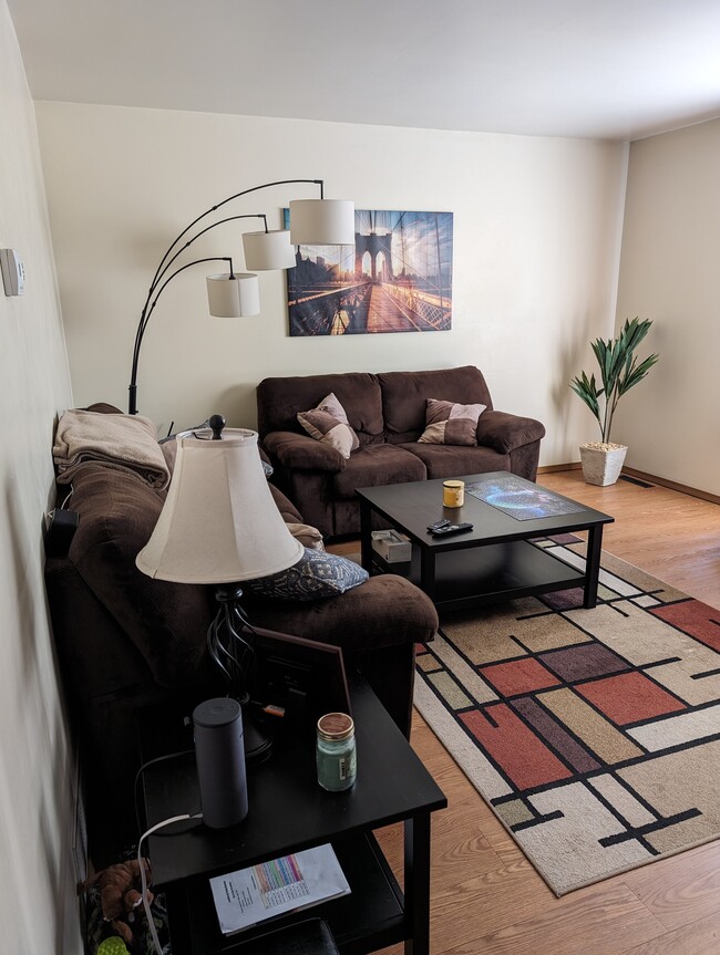 living room - 508 Becker St