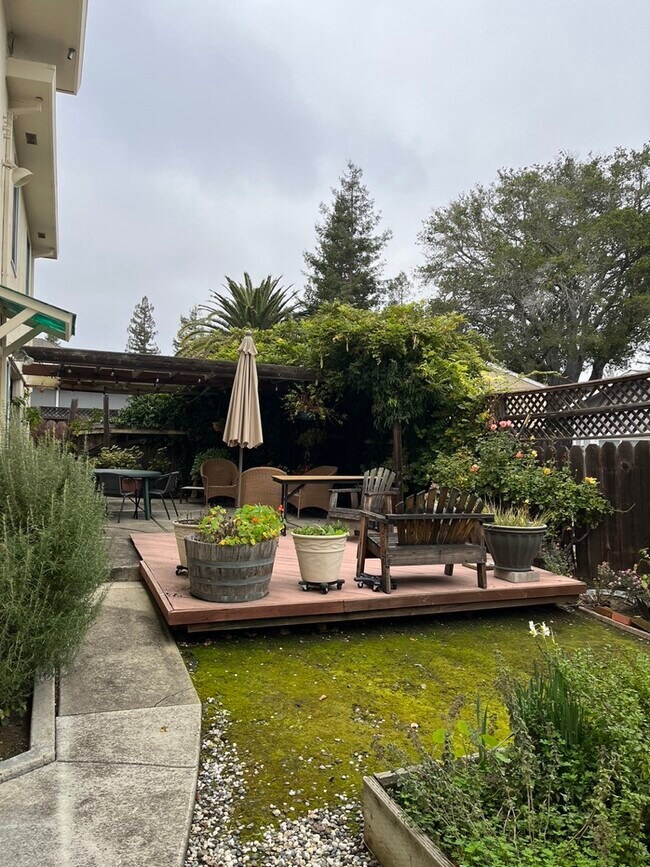 Patio trasero - 371 Cerrito Ave