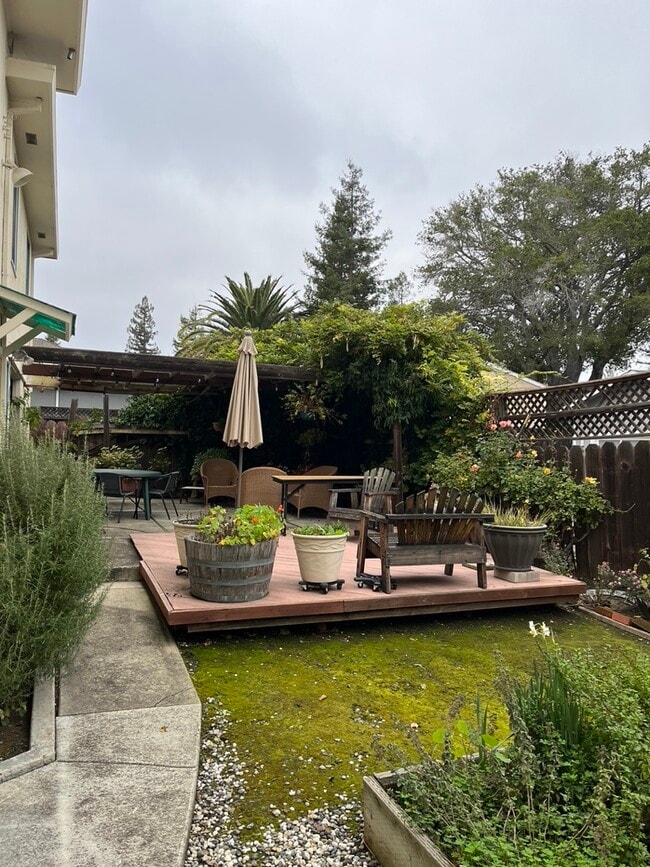Back Yard - 371 Cerrito Ave