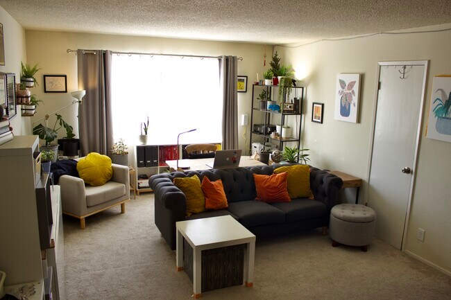 Living Room - 3466 Paxton Ave