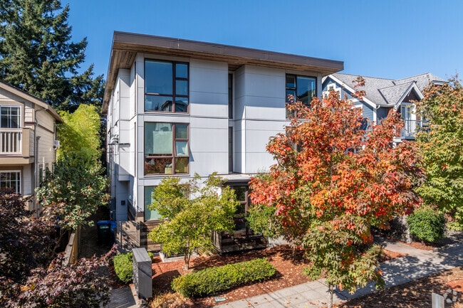 Estudios Nook - Nook Studios