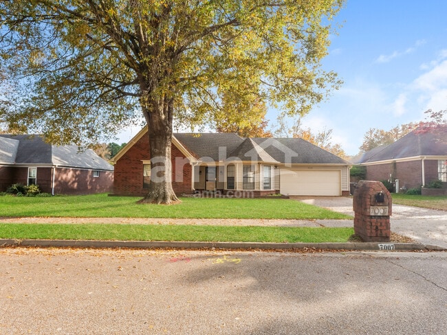 Building Photo - 7007 Meadowlands Pl