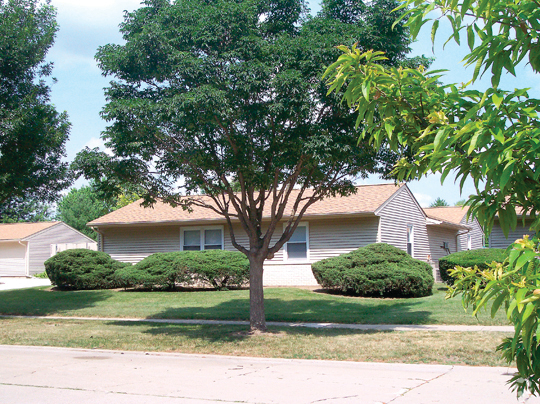 Building Photo - Windsor Duplexes