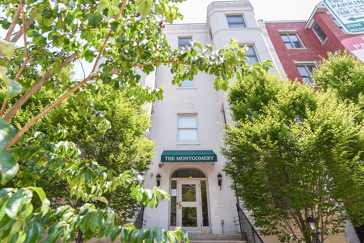Primary Photo - 1229 12th Street NW, Unit 203