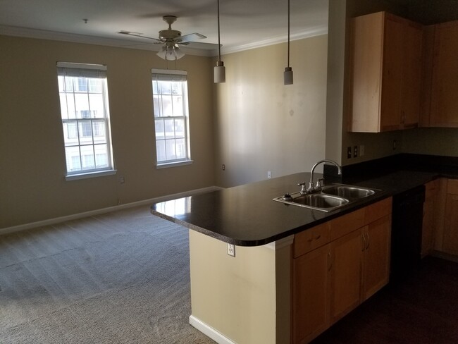 Building Photo - THE ROW at Ghent Condominiums