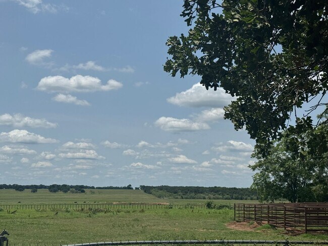 Foto del edificio - 3/2 with Acreage - HORSE PROPERTY - Barn &...