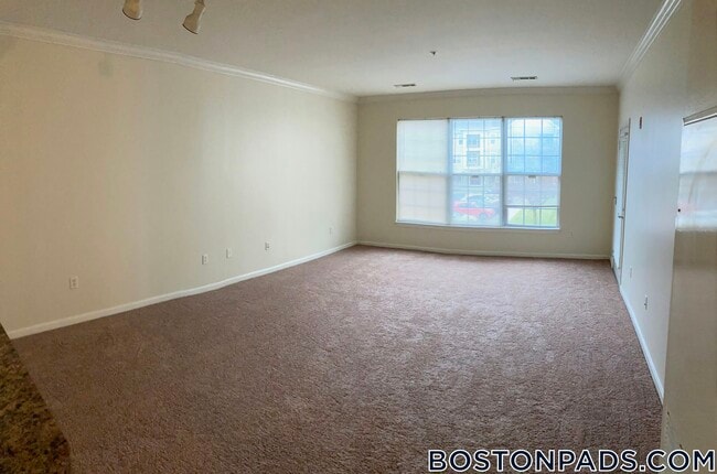 Building Photo - 311 Lowell St