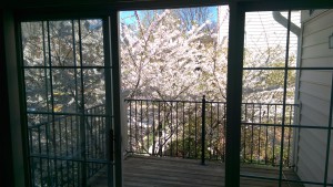 Foto principal - 8866 Ashgrove House Ln