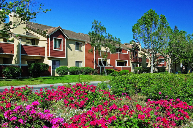 Beautifully landscaped - Belmont Apartment Homes