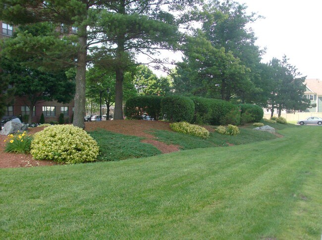 Foto del edificio - 364 Rindge Ave