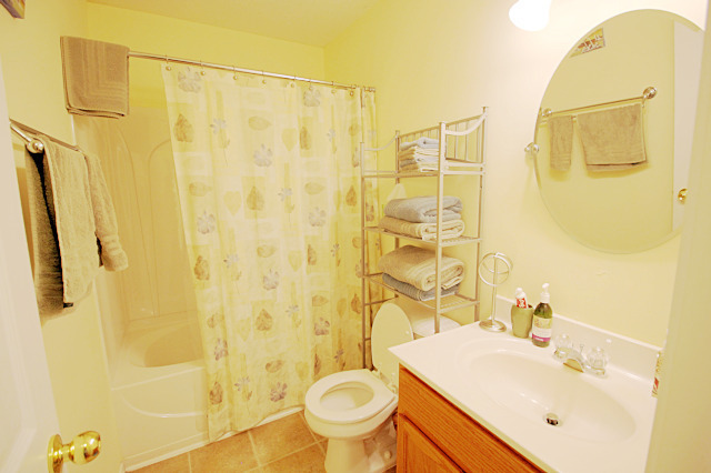Building Photo - Available Early July! Beautiful 4 bedroom ...