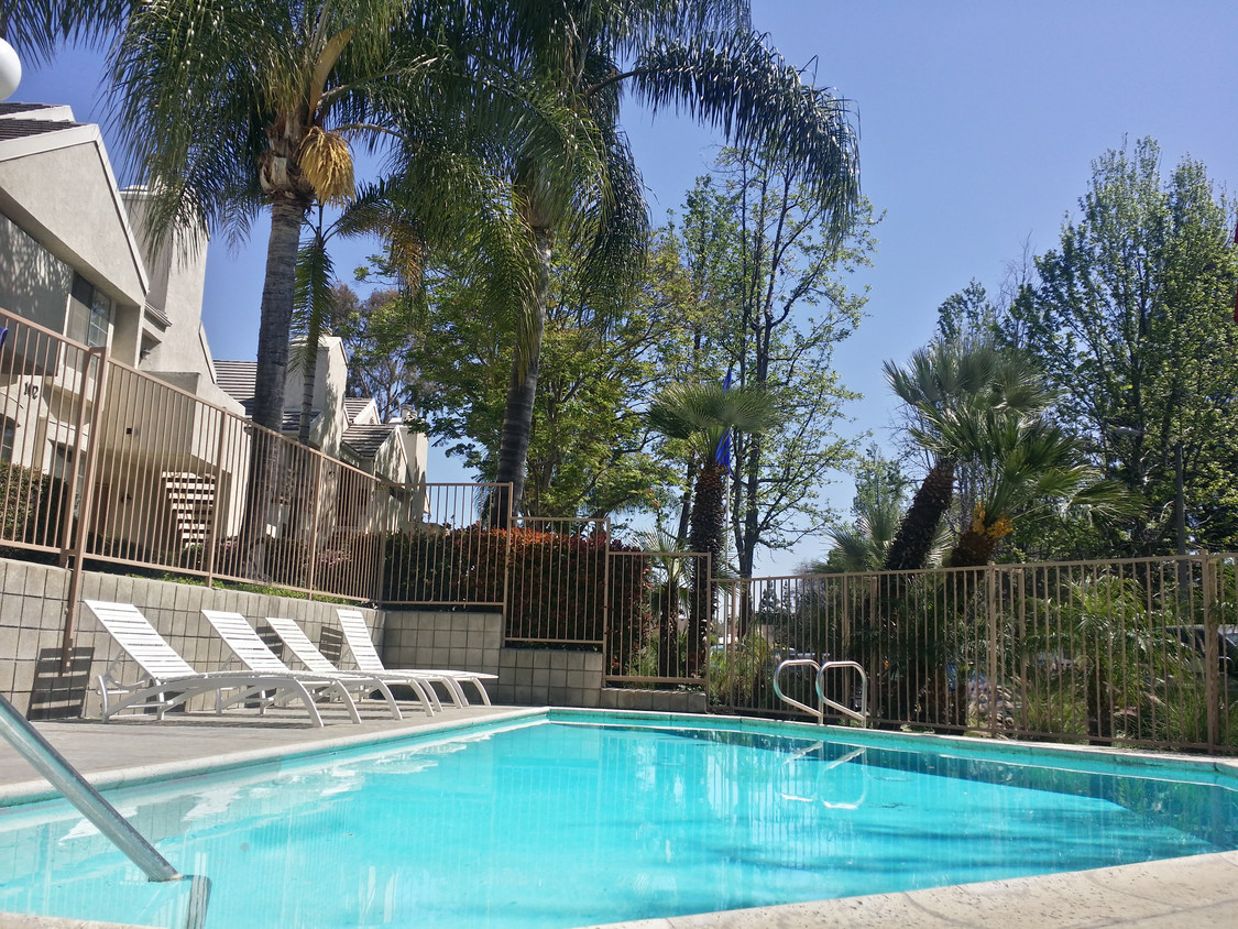 Swimming Pool - Lomita Court