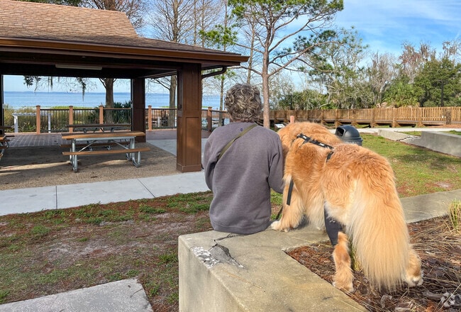 Lake Apopka has plenty of pet friendly parks.