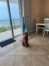 Building Photo - 1900 S Ocean Blvd