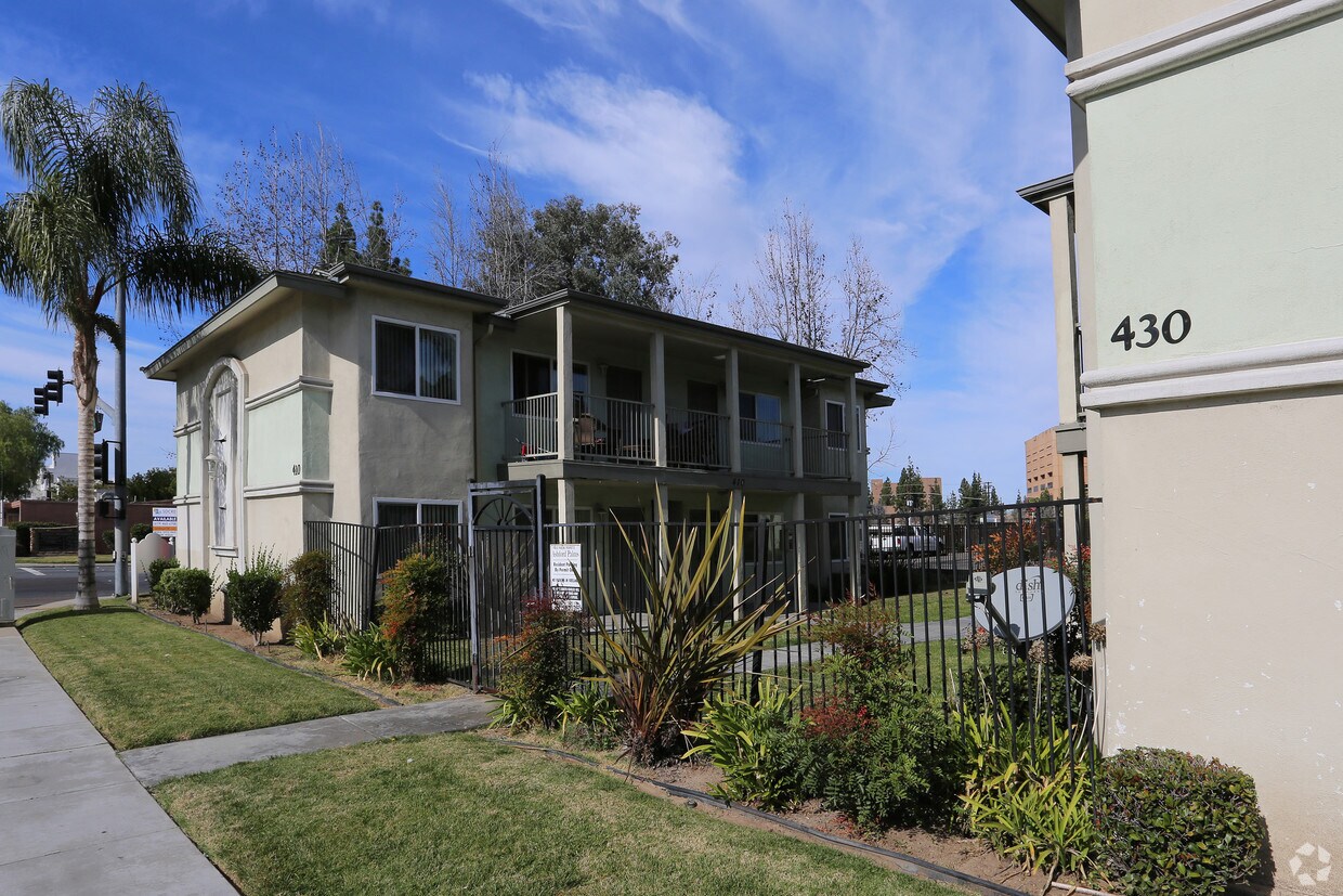 Primary Photo - Ashford Palms Apartments