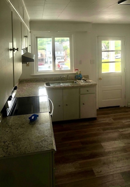 Kitchen stove & refrigerator - 101 W Ridge St