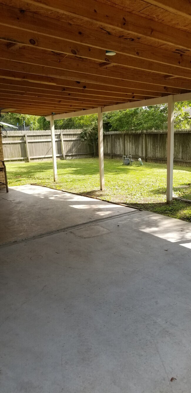 Looking out from back door - 207 Kelly Ln