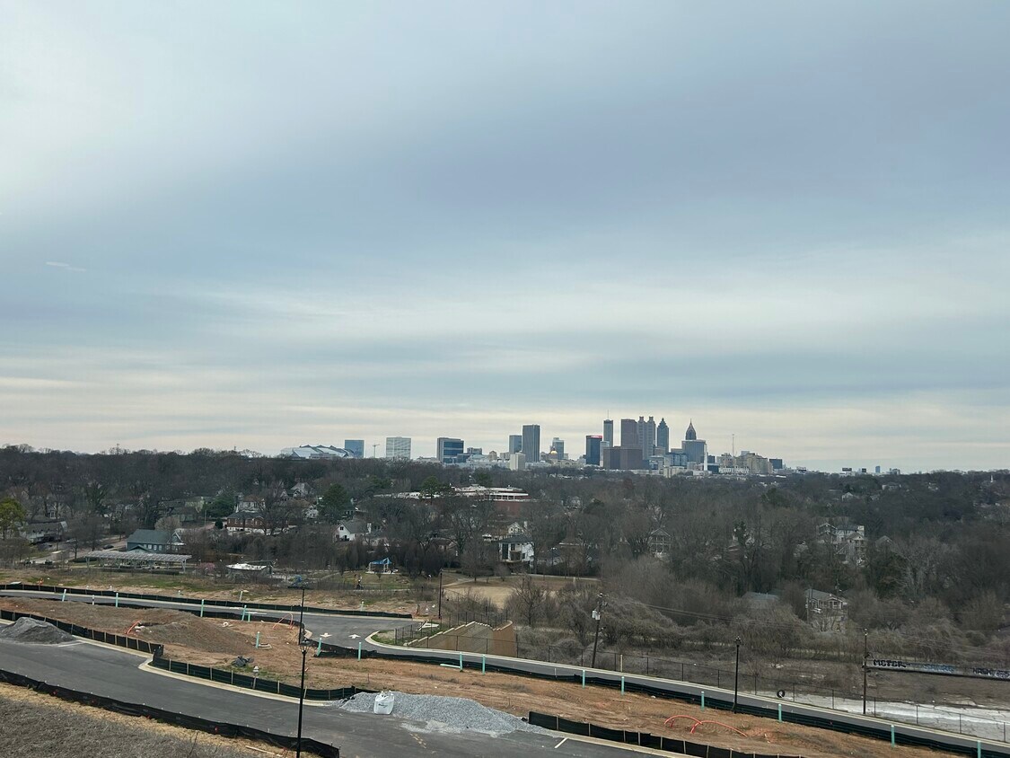 Skyline view - 1195 Milton Ter SE