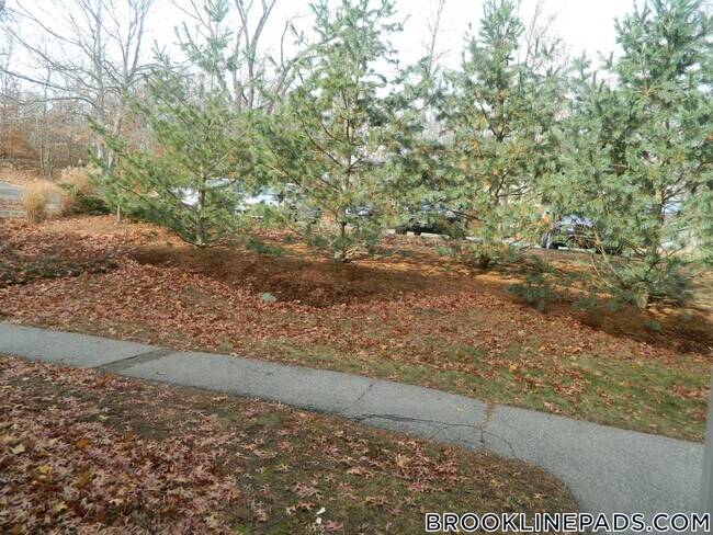 Building Photo - 499 VFW Parkway