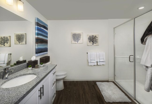 Building Photo - Clearwater at Riverpark