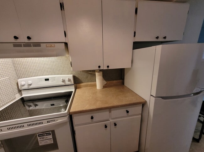 NEW STOVE AND FRIDGE - 103 Robert St W