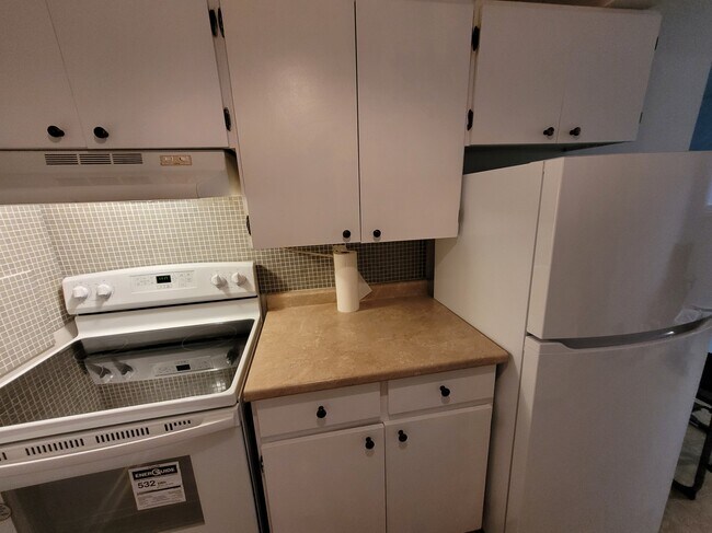 NEW STOVE AND FRIDGE - 103 Robert St W