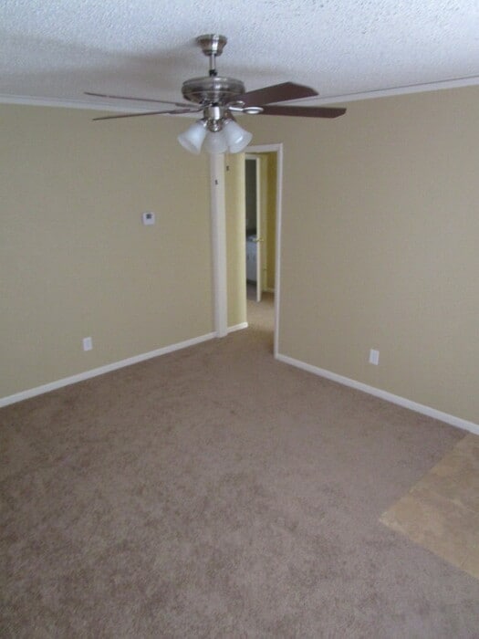 Building Photo - 1305 Milmo Dr