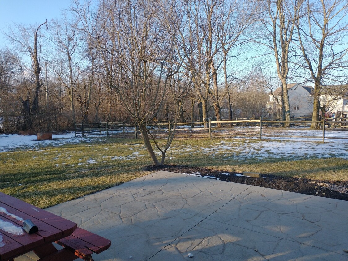 Back Yard - 1445 Urlage Dr