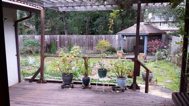 Deck and yard - 11 Jeffrey Court