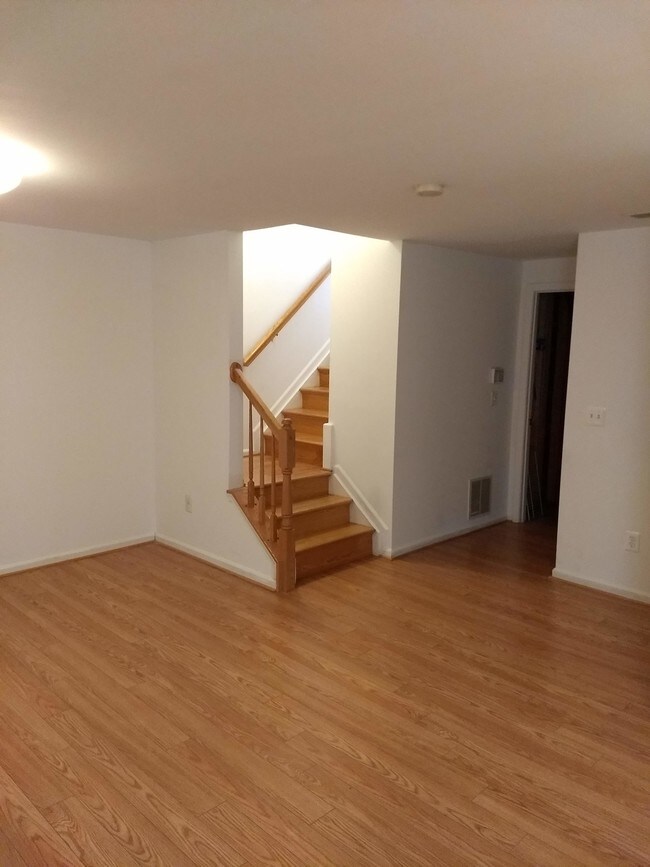 Stairs in the basement - 20910 Butterwood Falls Terrace
