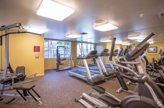 Fitness Center - The Piedmont Senior Apartments