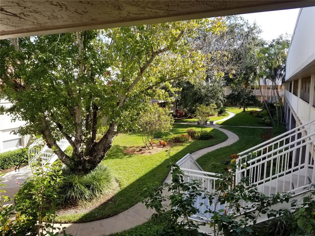 Foto principal - 10035 63rd Ave N