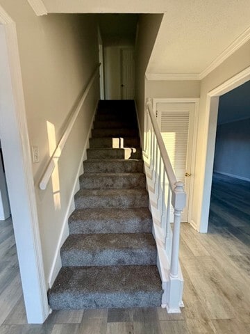 Entryway - 346 N Birchwood Dr