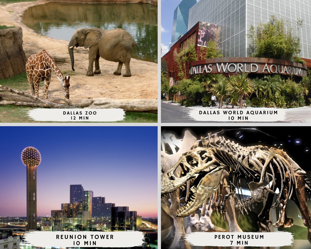 2421 Throckmorton St, Dallas, TX 75219 Townhome Rentals in Dallas TX