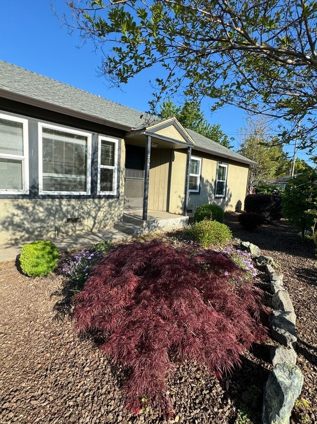 Foto del edificio - Charming 3 bedroom home in North Chico