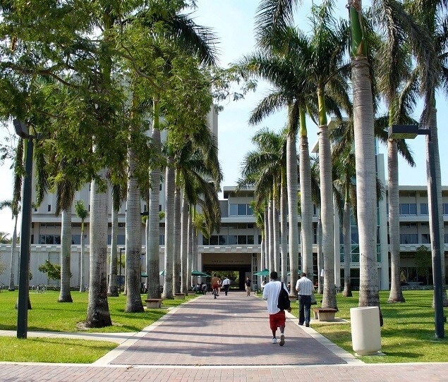 The walkway to the Otto G. Richter Library