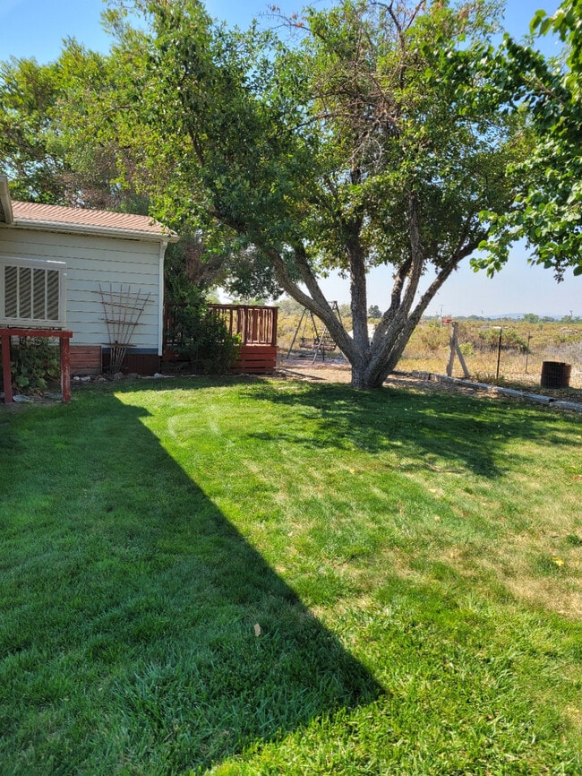 605 Rogers Rd, Lovelock, NV 89419 House Rental in Lovelock, NV